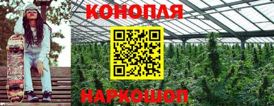 индика Канаш