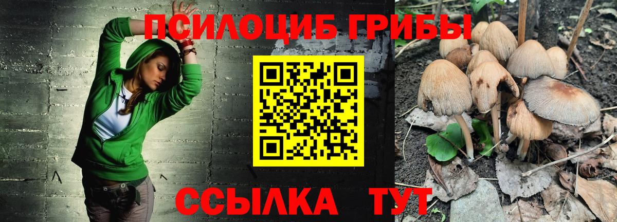 Псилоцибиновые грибы GOLDEN TEACHER Усинск